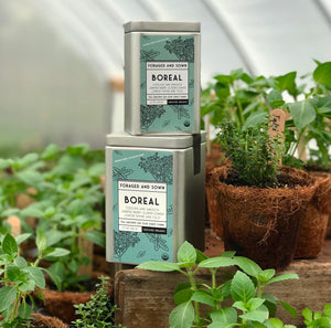 Boreal Herbal Tea