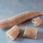 Load image into Gallery viewer, Luffa plant
