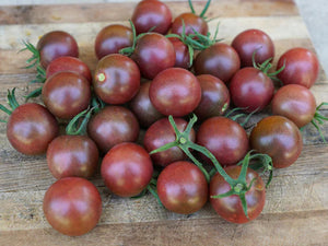 Tomato, Black Cherry plant