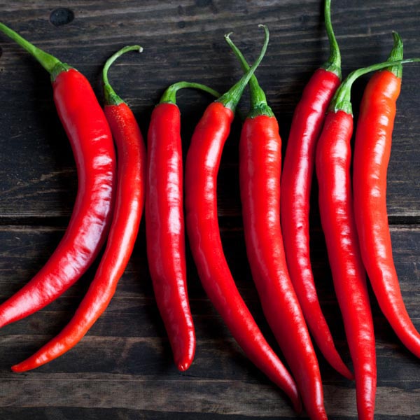 Pepper, Cayenne (Joe's Long) plant