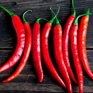 Pepper, Cayenne (Joe's Long) plant