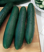 Load image into Gallery viewer, Cucumber, Marketmore 76 plant
