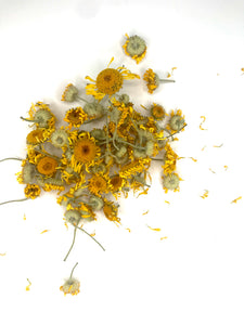 Dyer's Chamomile, dried