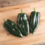 Load image into Gallery viewer, Pepper, Ancho Poblano plant
